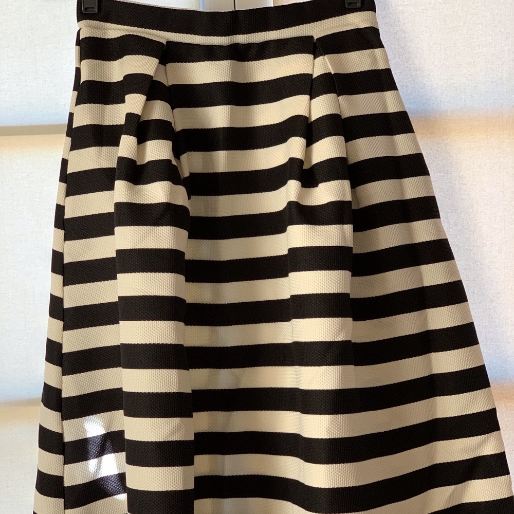 NWT Black and White Striped A-Line Skirt